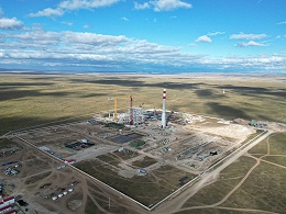 四川迪瑞（DEGREE）中标蒙古国布罗巨特发电厂一期冷凝水回收器